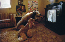 Коли все зрозуміло без слів. Неймовірні фото з архіву National Geographic