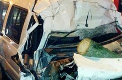 Жахлива ДТП під Києвом: водій залишився без голови