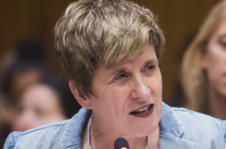 Розслідування вбивства Шеремета стане перевіркою влади на готовність відстоювати свободу слова – ООН