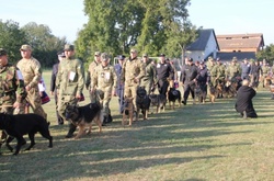 Як змагаються бойові вівчарки, що служать у Нацполіції