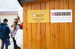 В столиці відкрився новий притулок для тварин