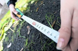 Глава Київської облради: доки децентралізація закінчиться, вільної державної землі під Києвом не залишиться