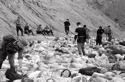 Голокост почався з трагедії у Бабиному Яру, - Штайнмаєр