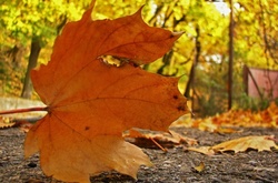 У четвер в Україну прийде потепління