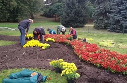 У столиці відкривається рекордна осіння виставка квітів
