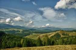 В Держлісагентстві сподіваються на виділення їм 560 мільйонів гривень у наступному році