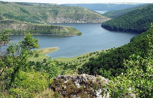 Еколог: Держлісагентство заблокувало створення нових об’єктів природно-заповідного фонду