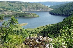 Еколог: Держлісагентство заблокувало створення нових об’єктів природно-заповідного фонду