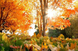 У суботу триватиме «бабине літо»