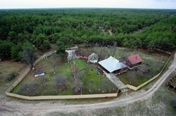 В Держлісагентстві кажуть, що створювати національний парк у місці, де відпочивав Янукович, не можна - радіація