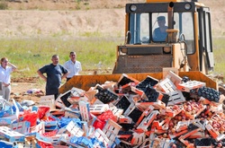 У Росії прозвітували про знищення понад 8 тисяч тонн «санкційних» продуктів