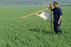 «Народний фронт» виступає за мораторій на продаж землі