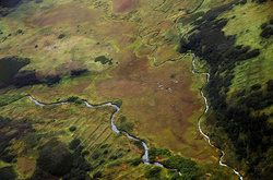 В Японії вимагають повернути Курильські острови, окуповані Росією