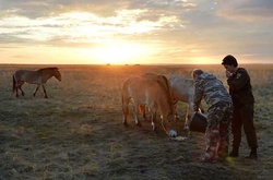 У найвідповідальніший момент журналістам заборонили фотографувати, проте кілька знімків вдалося зробити