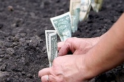 Рада продовжила мораторій на продаж землі до 2018 року