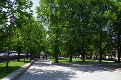 У двох районах столиці з'являться нові сквери