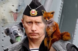 Президент РФ и животные: самые яркие фотожабы на Путина с братьями нашими меньшими