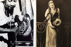 Укротительницы змей: ретро-фотографии дам, которые выходили на арену цирка со змеями 