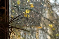 На більшій частині території України очікуються дощі, – Гідрометцентр