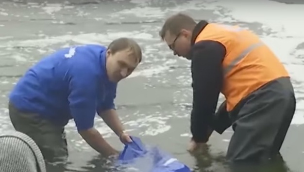 Історичне зариблення: у Дніпро випустили царську рибу 