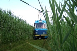  В Одесі через сильний дощ призупинено рух трамвая 