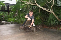 Їздить прокурор Міленін на BMW 530d xd 2011 року, купив її в рік випуску