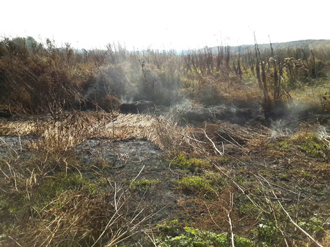 На Полтавщині продовжують гасити торф’яну пожежу
