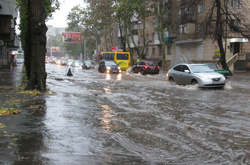 Одеса після зливи: рятувальники прибирають повалені дерева