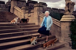 Королева Елизавета II потеряла одного из своих корги