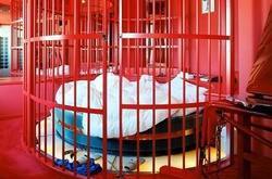 Любви все возрасты покорны: японские love hotels в работах фотографа Misty Keasler