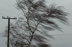 Циклон принесе в Одесу сильний вітер та зливи