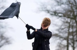 У Києві оголошено штормове попередження. Очікуються пориви вітру 15&ndash;20 м/с