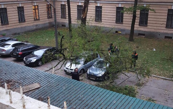 У Києві біля військової прокуратури дерева потрощили автівки 
