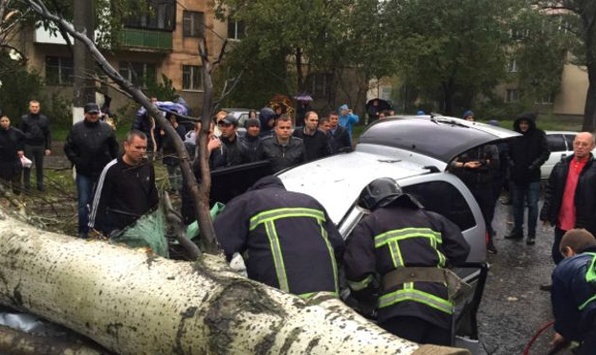 В Одесі на автівку впало дерево, загинув водій 