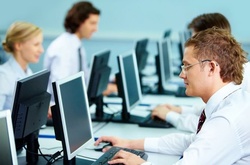 Найвищі зарплати пропонують менеджерам вищої ланки і IT-шникам