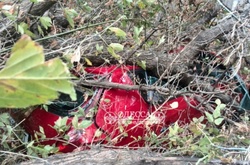 Через стихію в Одесі загинула дівчинка