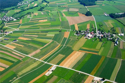 Ринок землі в Україні. Як лобісти вдаються до хитрощів