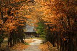 Вночі в Україні буде морозно