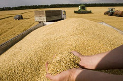 США підвищили прогноз експорту зерна з України на 1,4 млн тонн