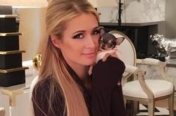 Пэрис Хилтон купила собачку за восемь тысяч долларов