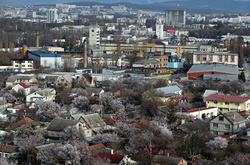 Італійська делегація прибула до окупованого Криму