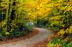 У суботу буде прохолодно, але сухо