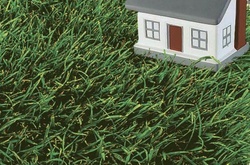 Земельну ділянку в столиці можна зареєструвати онлайн