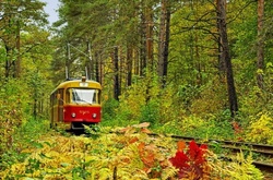 Погода в Україні на 19 жовтня