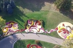 Опубліковано запис аерозйомки рекордної виставки хризантем