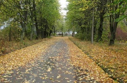 У четвер потепління не очікується