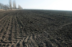 Чи готові українці до запуску земельного ринку?