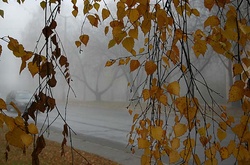 Осінь в Україні