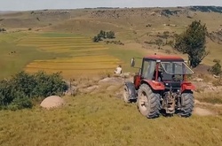 Трогательный рекламный фильм белорусских тракторов выиграл два приза в Каннах