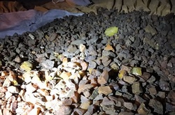 СБУ виявила в Києві майже 120 кг незаконно видобутого бурштину